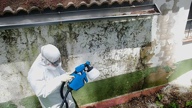 Top rated local Commercial Mold Remediation specialists in Damascus, MD